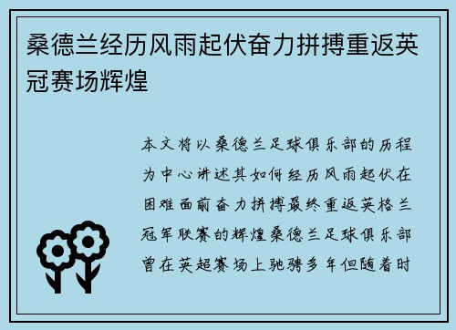 桑德兰经历风雨起伏奋力拼搏重返英冠赛场辉煌